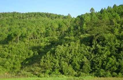 凯发·k8(国际) - 一触即发·官方网站