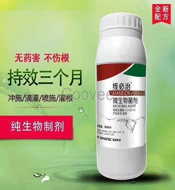 凯发·k8(国际) - 一触即发·官方网站