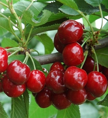 凯发·k8(国际) - 一触即发·官方网站