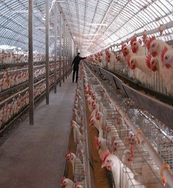 凯发·k8(国际) - 一触即发·官方网站