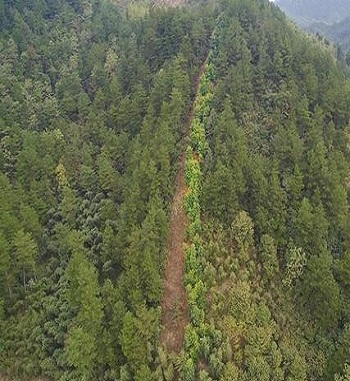 凯发·k8(国际) - 一触即发·官方网站