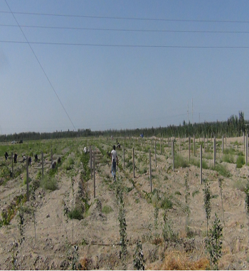 凯发·k8(国际) - 一触即发·官方网站