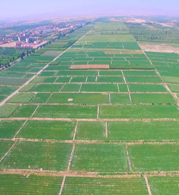 凯发·k8(国际) - 一触即发·官方网站