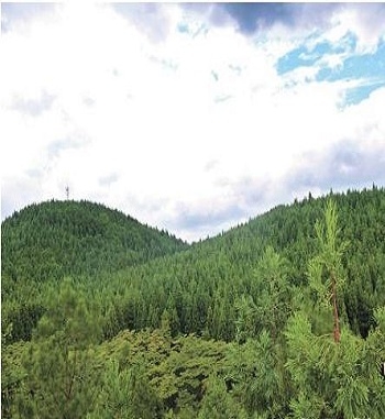 凯发·k8(国际) - 一触即发·官方网站