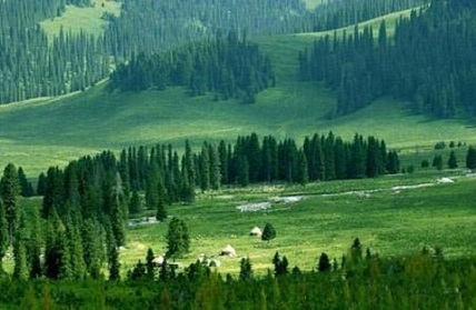 凯发·k8(国际) - 一触即发·官方网站