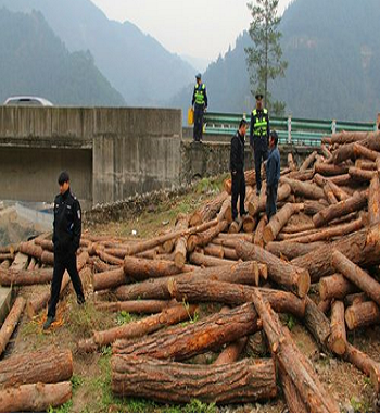 凯发·k8(国际) - 一触即发·官方网站