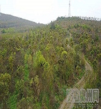 凯发·k8(国际) - 一触即发·官方网站