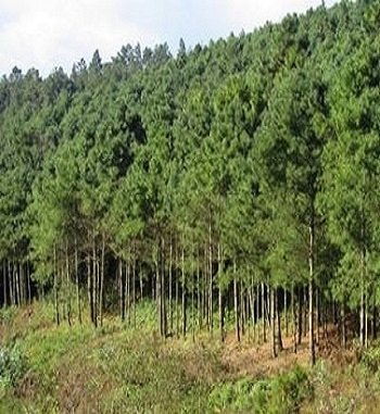 凯发·k8(国际) - 一触即发·官方网站