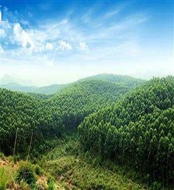 凯发·k8(国际) - 一触即发·官方网站