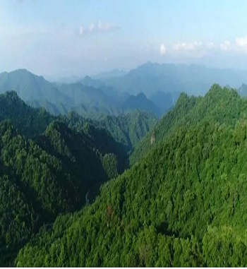 凯发·k8(国际) - 一触即发·官方网站