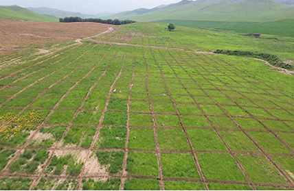 凯发·k8(国际) - 一触即发·官方网站