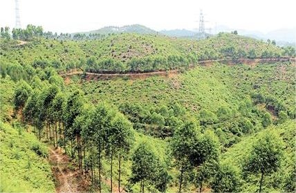 凯发·k8(国际) - 一触即发·官方网站