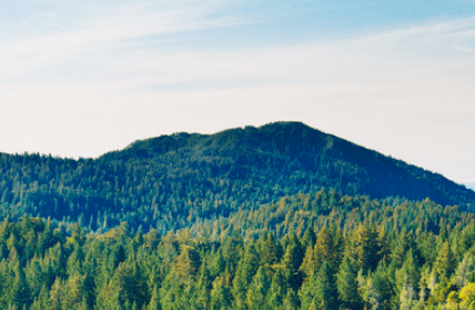 凯发·k8(国际) - 一触即发·官方网站