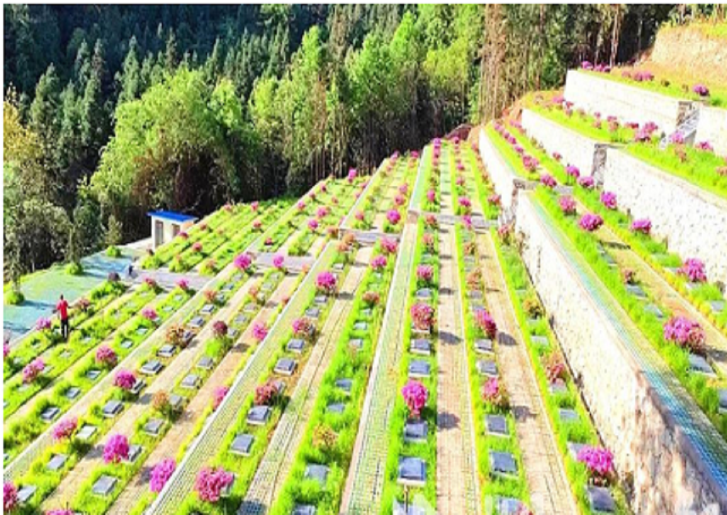 凯发·k8(国际) - 一触即发·官方网站