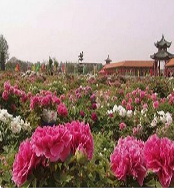 凯发·k8(国际) - 一触即发·官方网站